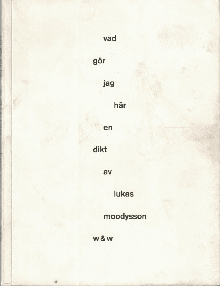 Lukas Moodysson : Vad gör jag här