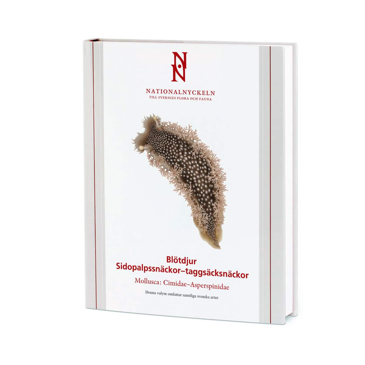 Lundin, Kennet  ; Malmberg , Klas  ; Pleijel, Fredrik  : Blötdjur: Sidopalpssnäckor – taggsäcksnäckor. Mollusca: Cimidae–Asperspinidae