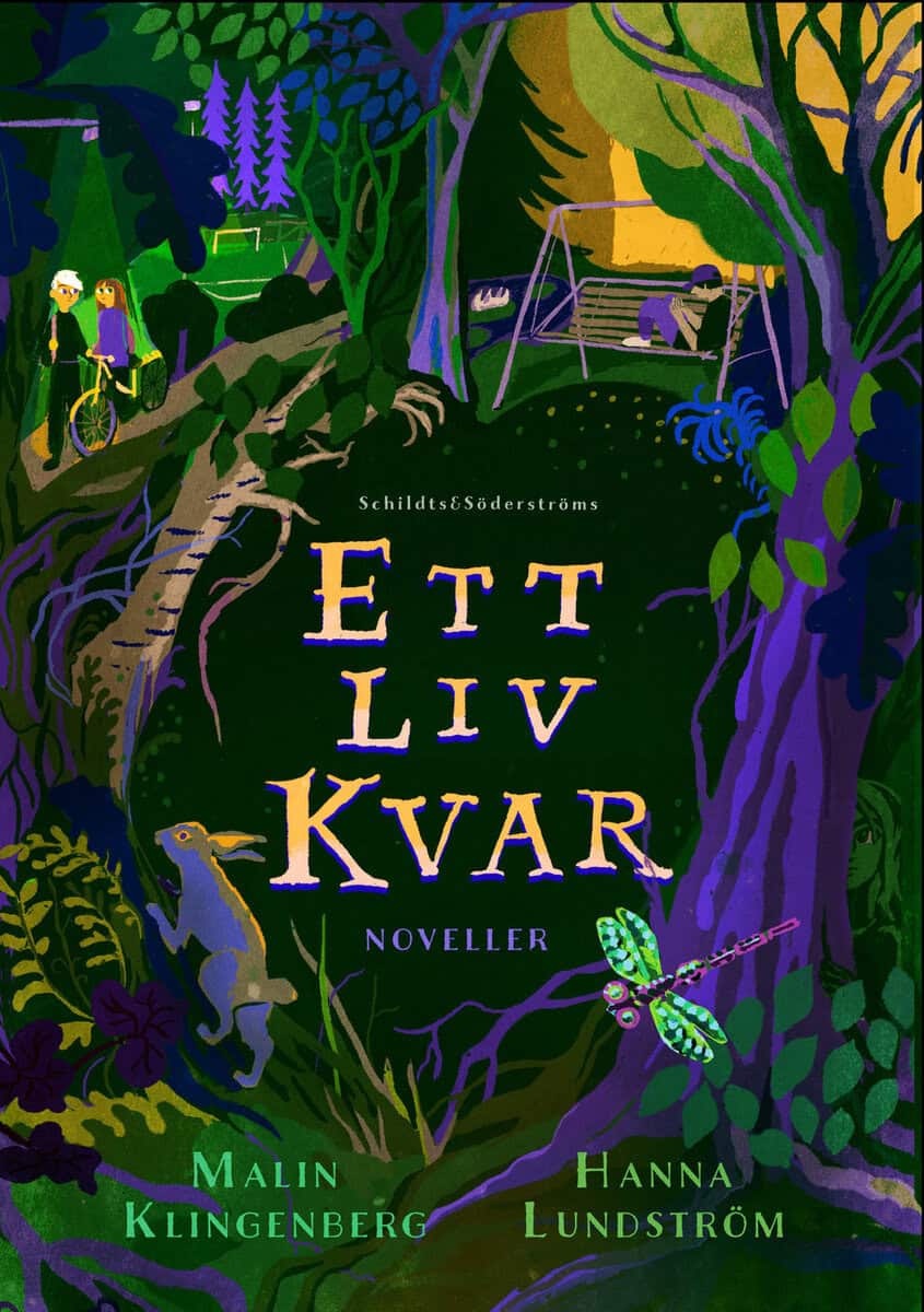 Lundström, Hanna ; Klingenberg, Malin : Ett liv kvar