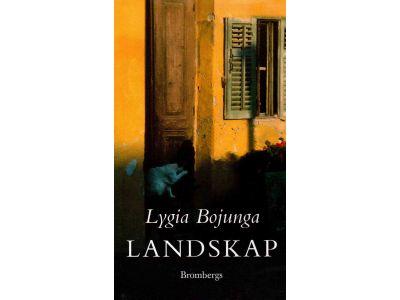 Lygia Bojunga : Landskap