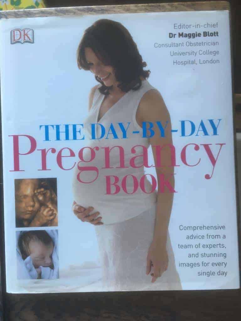 M Blott : The day-by-day pregnancy book