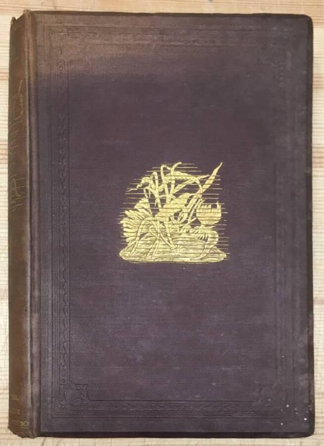 M Tandon ; H Martyn Hart : The World of the Sea