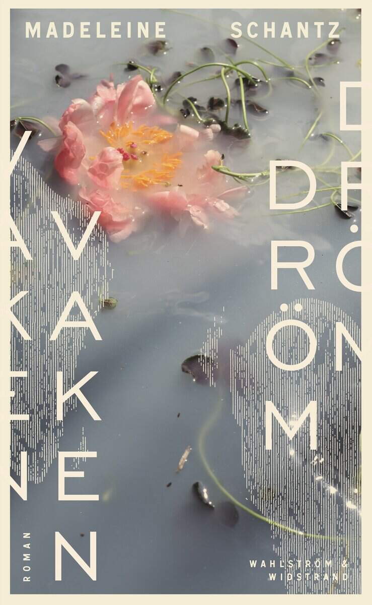 Madeleine Schantz : Vaken dröm