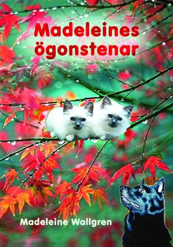 Madeleine Wallgren : Guds och Madeleines ögonstenar