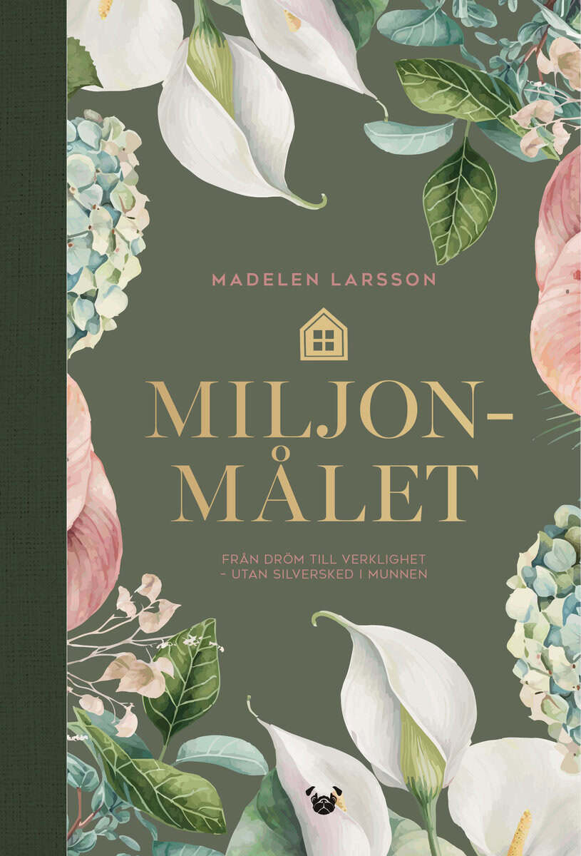 Madelen Larsson : Miljonmålet : från dröm till verklighet - utan silversked i munnen