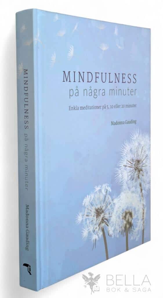 Madonna Gauding : Mindfulness på några minuter