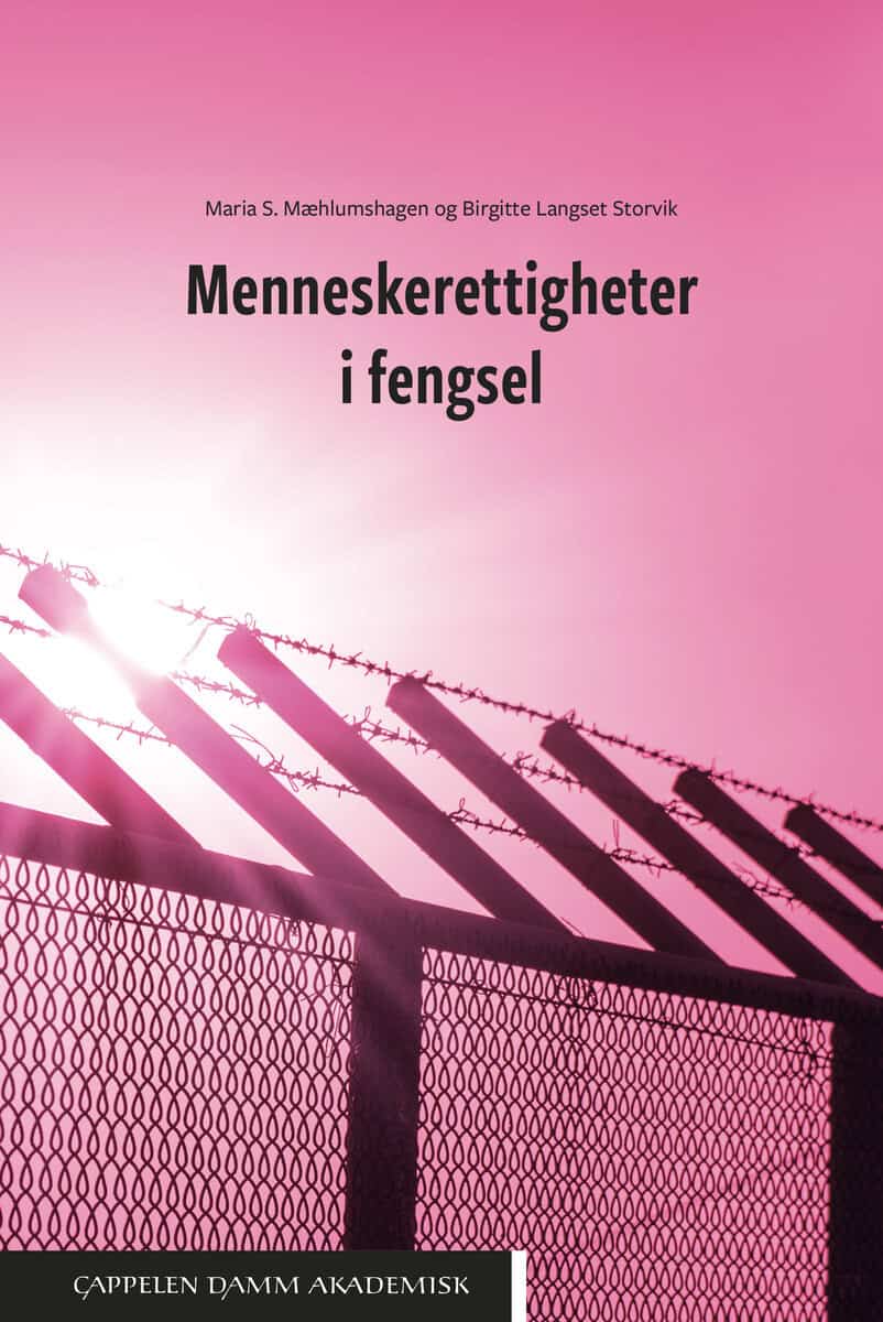 Mæhlumshagen, Maria S. ; Langset Storvik, Birgitte : Menneskerettigheter i fengsel