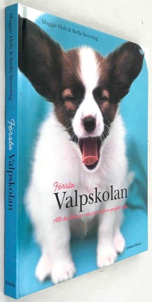 Maggie Holt ; Stella Sweeting : Första valpskolan