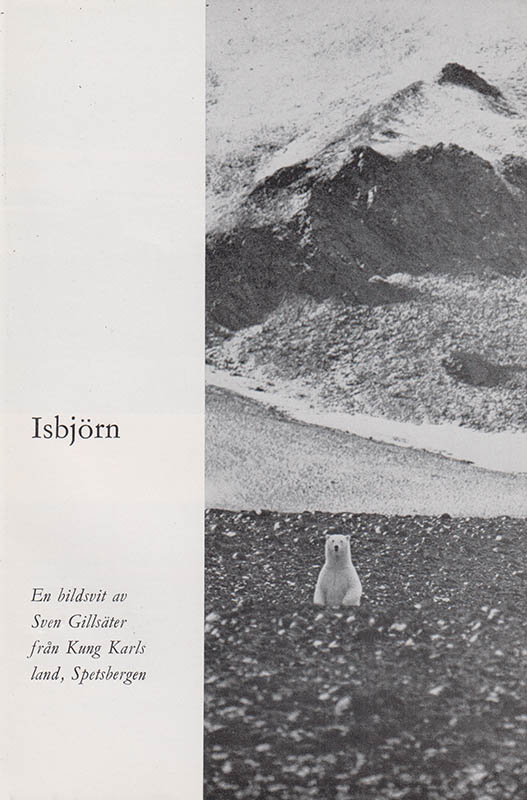 Magnar Norderhaug : Isbjørnen - Ishavets naturvernproblem