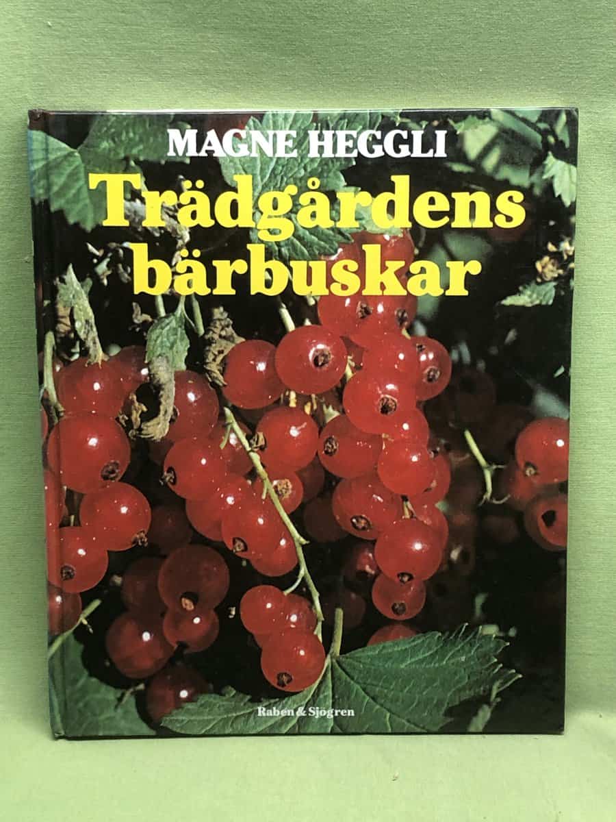 Magne Heggli : Trädgårdens bärbuskar