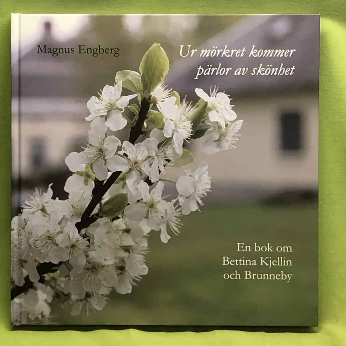 Magnus Engberg : Ur mörkret kommer pärlor av skönhet