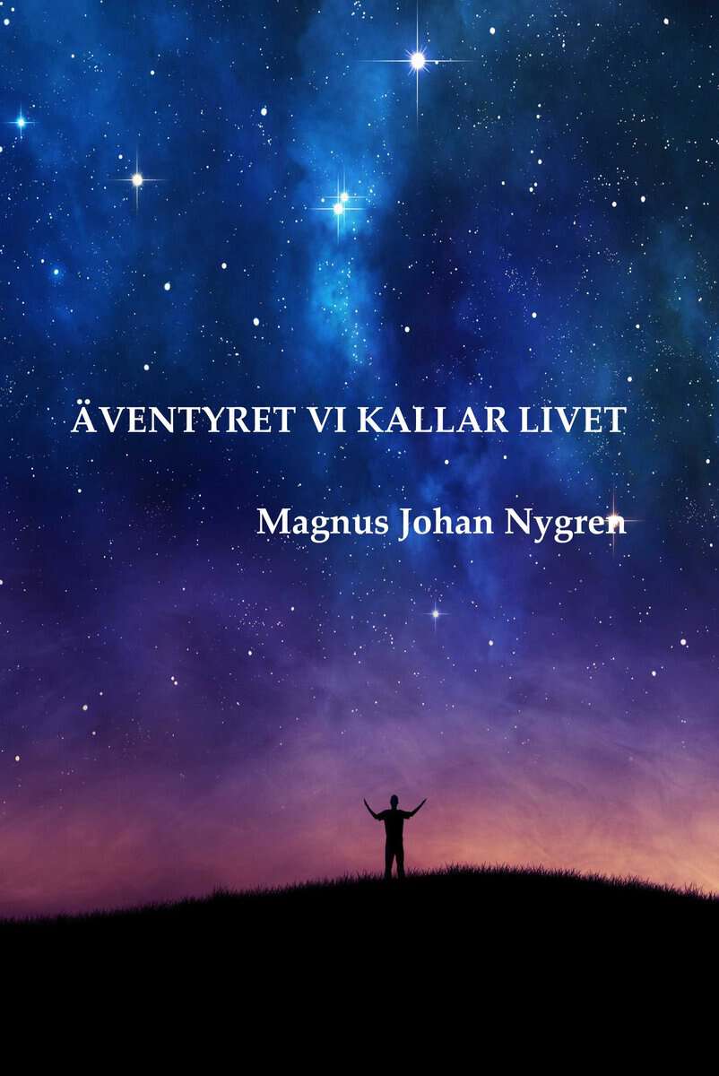 Magnus Johan Nygren : Äventyret vi kallar livet