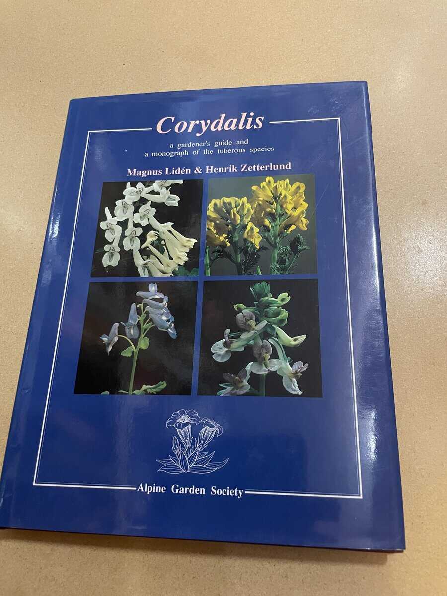 Magnus Lidén : Corydalis