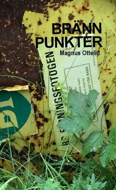 Magnus Ottelid : Brännpunkter : 10 noveller