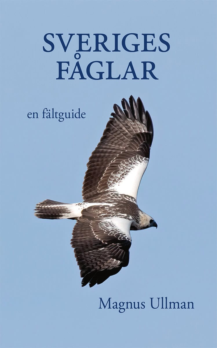 Magnus Ullman : Sveriges fåglar – en fältguide
