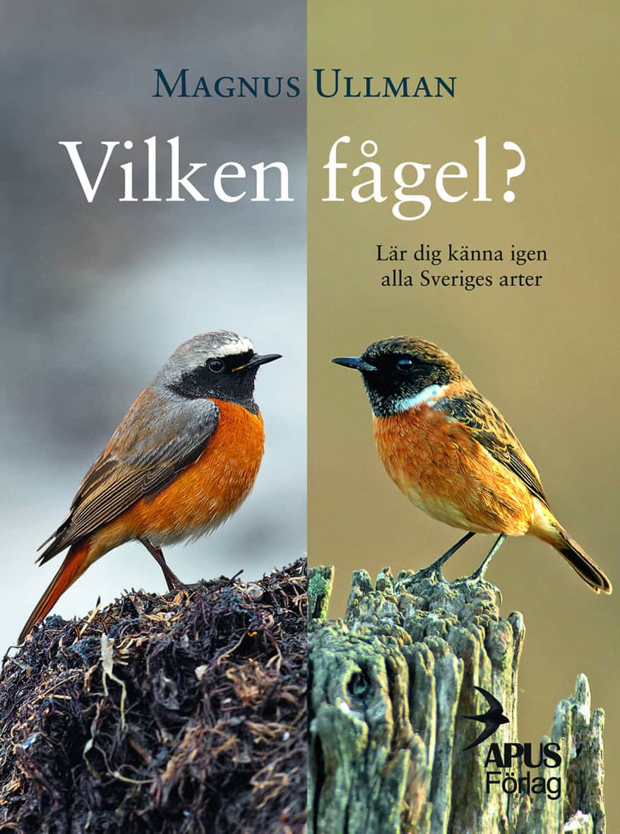 Magnus Ullman : Vilken fågel? Lär dig känna igen alla Sveriges arter
