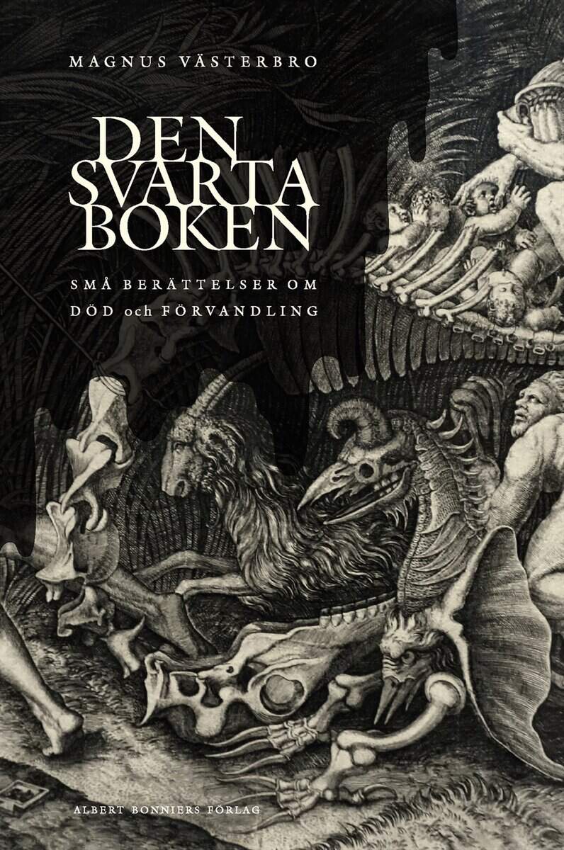 Magnus Västerbro : Den svarta boken : små berättelser om död och förvandling