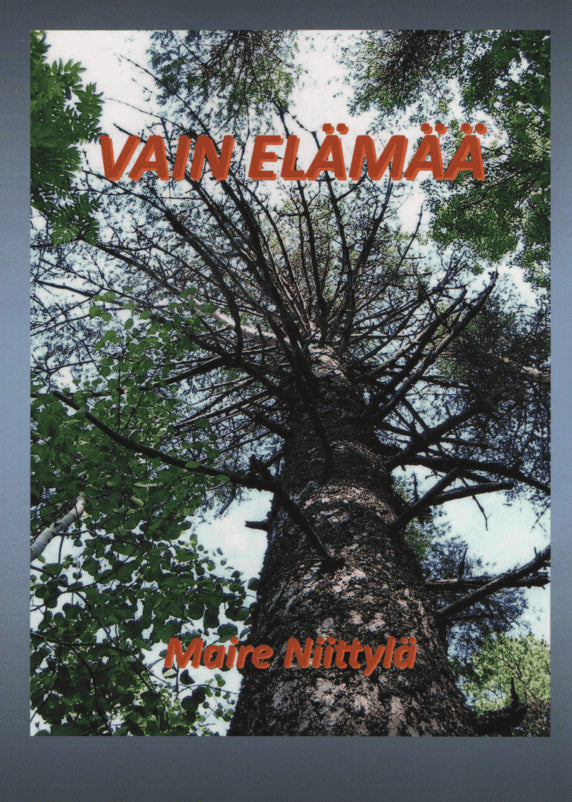 Maire Niittylä : Vain elämää