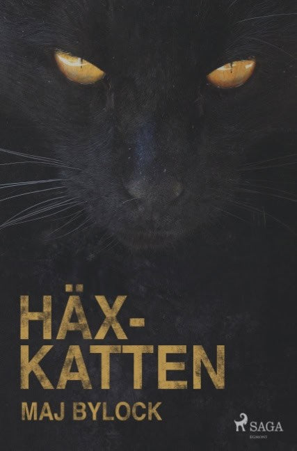 Maj Bylock : Häxkatten