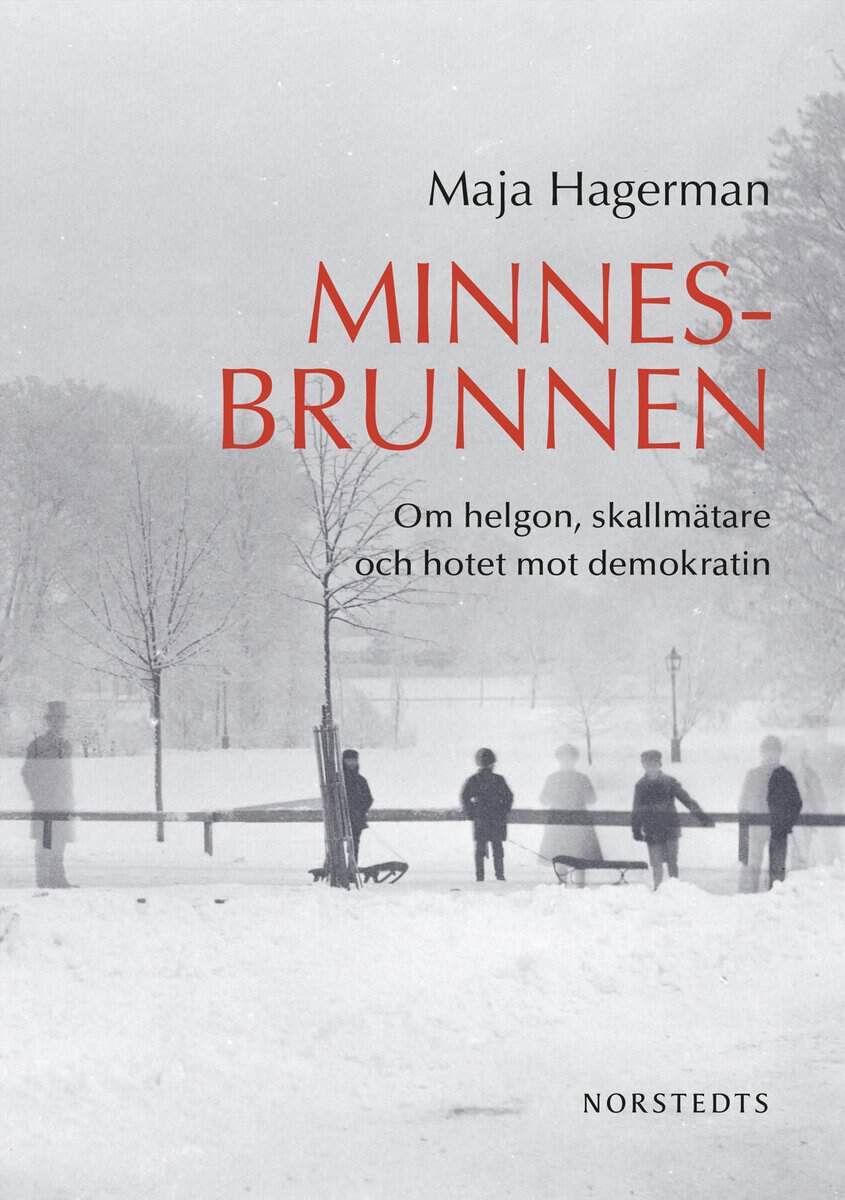 Maja Hagerman : Minnesbrunnen : om helgon, skallmätare och hotet mot demokratin