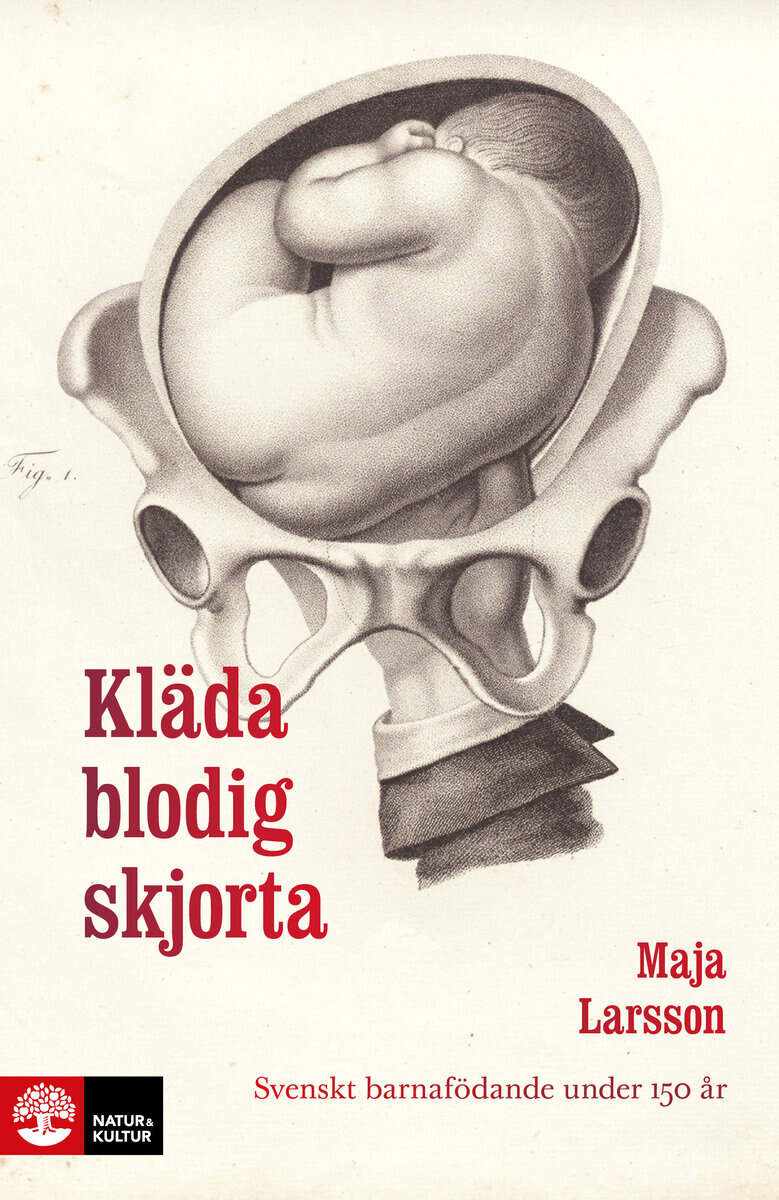 Maja Larsson : Kläda blodig skjorta : svenskt barnafödande under 150 år