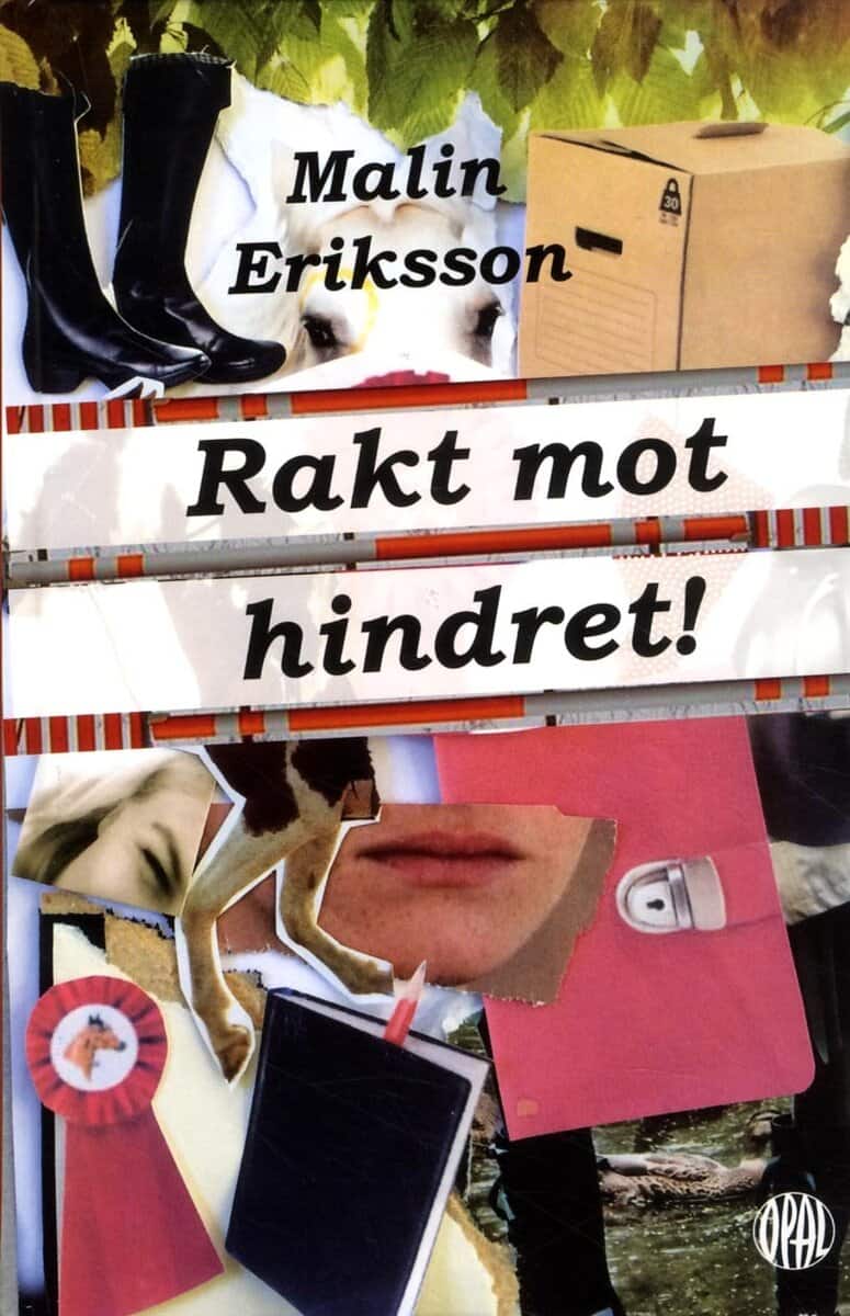 Malin Eriksson : Rakt mot hindret!