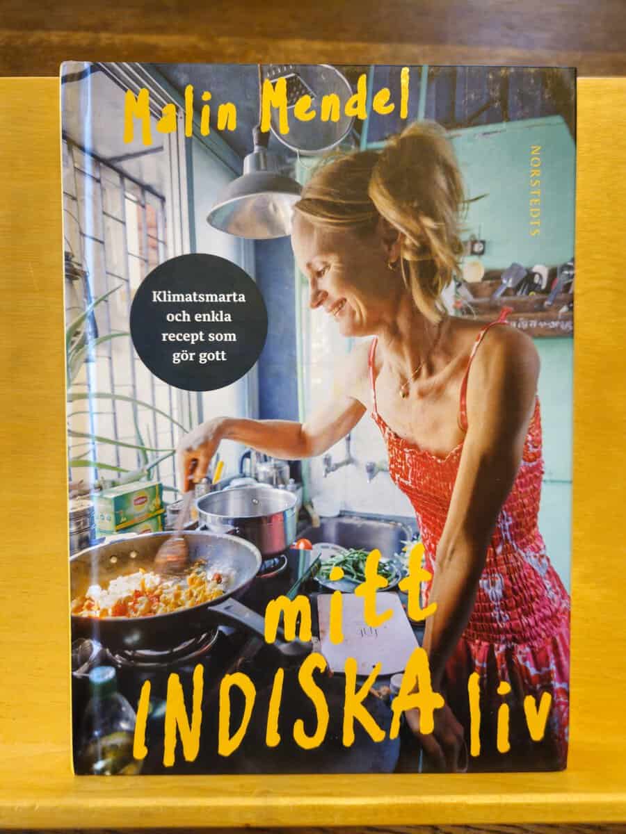 Malin Mendel : Mitt indiska liv