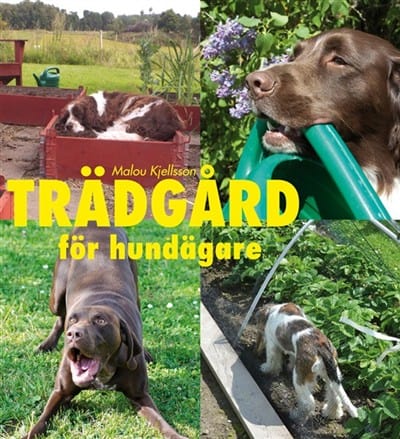 Malou Kjellsson : Trädgård för hundägare