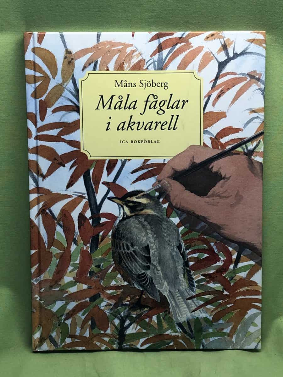 Måns Sjöberg : Måla fåglar i akvarell