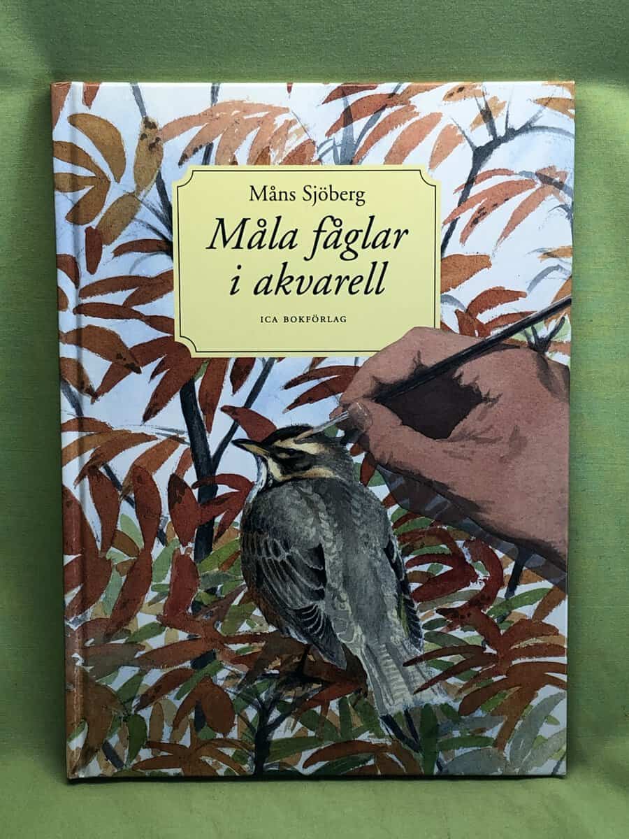 Måns Sjöberg : Måla fåglar i akvarell