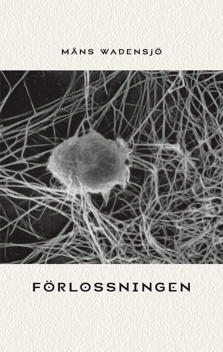 Måns Wadensjö : Förlossningen