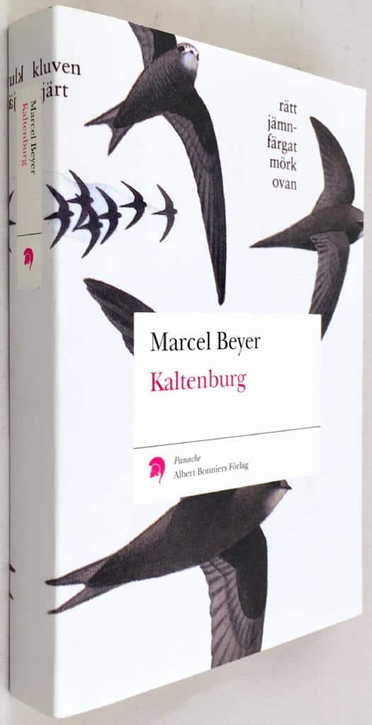 Marcel Beyer : Kaltenburg