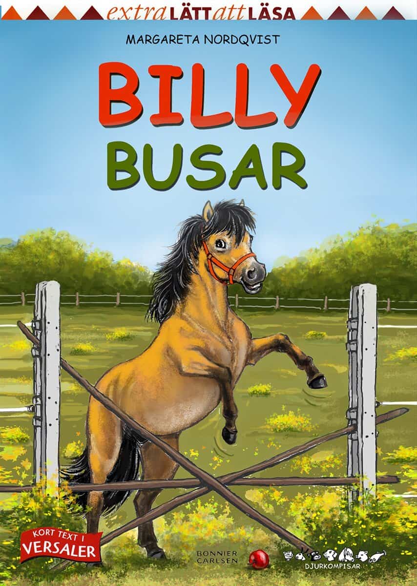 Margareta Nordqvist : Billy busar