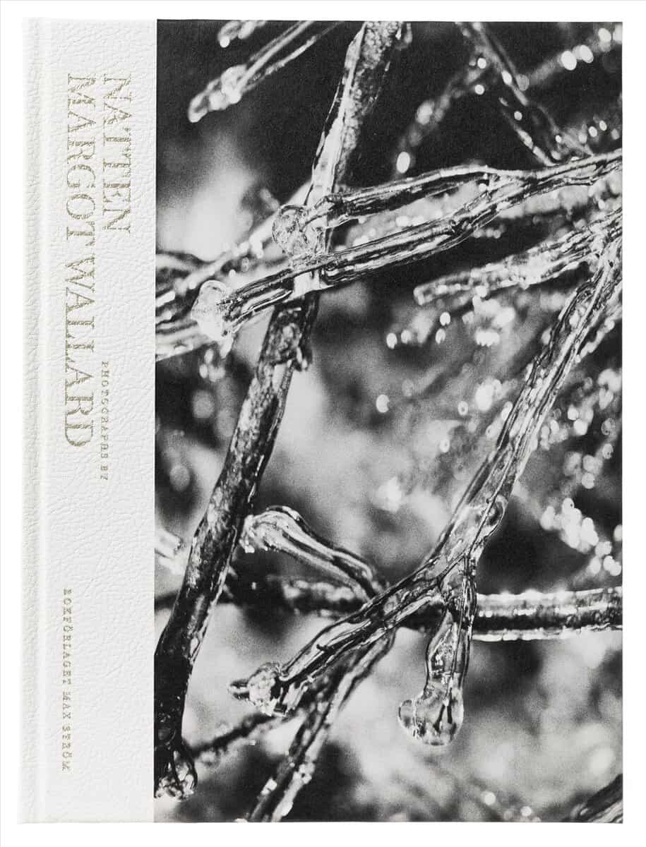 Margot Wallard : Natten