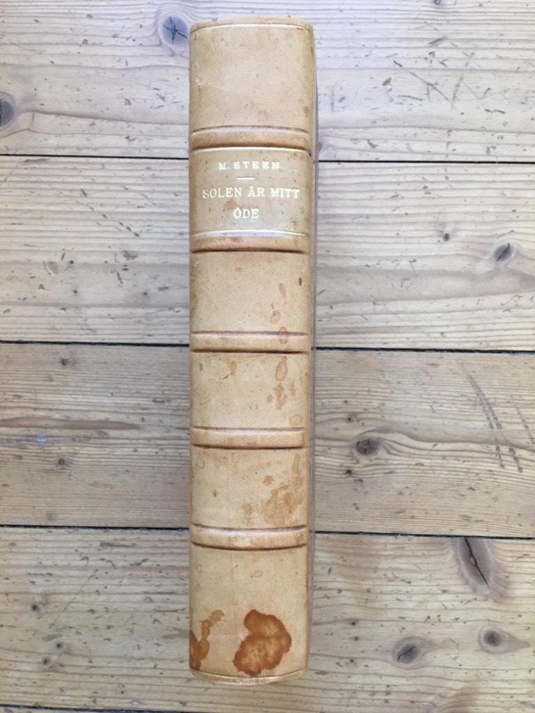 Marguerite Steen : Solen är mitt öde