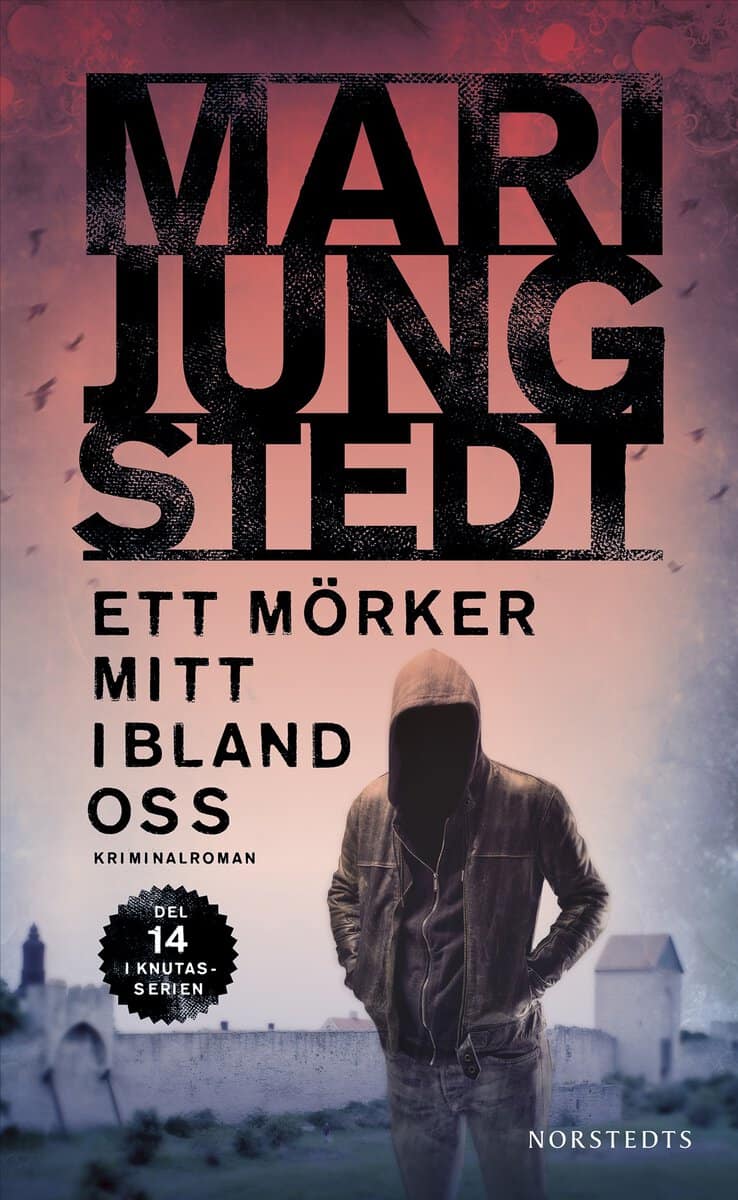 Mari Jungstedt : Ett mörker mitt ibland oss