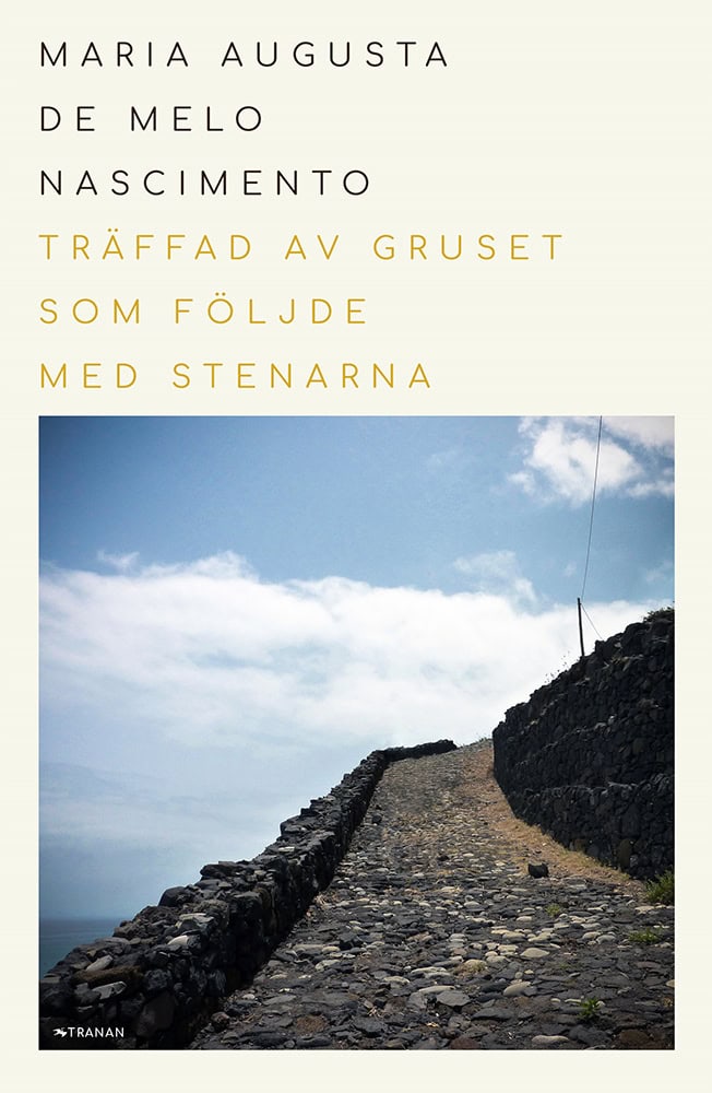 Maria Augusta de Melo Nasciemento : Träffad av gruset som följde med stenarna