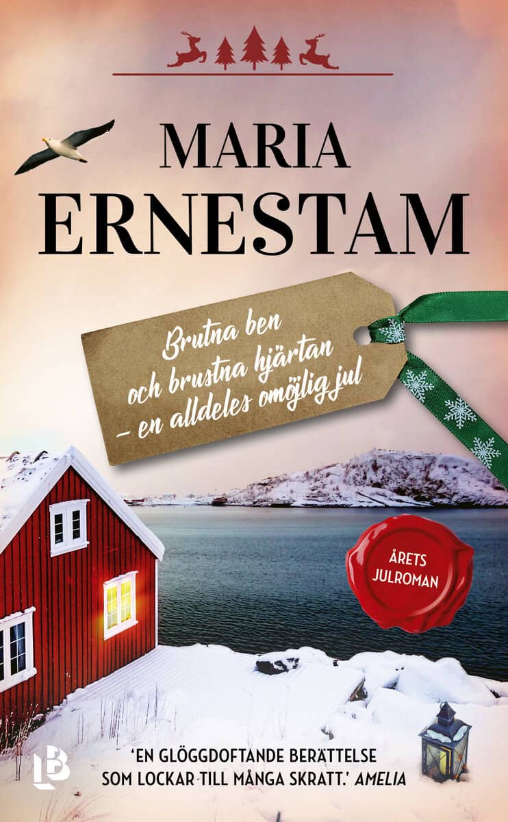 Maria Ernestam : Brutna ben och brustna hjärtan - en alldeles omöjlig jul