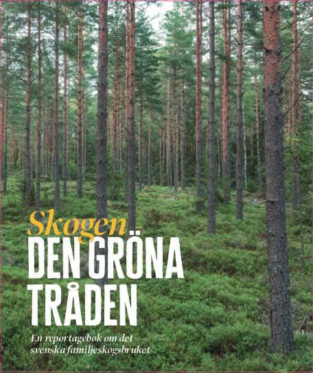Maria Gramer : Skogen
