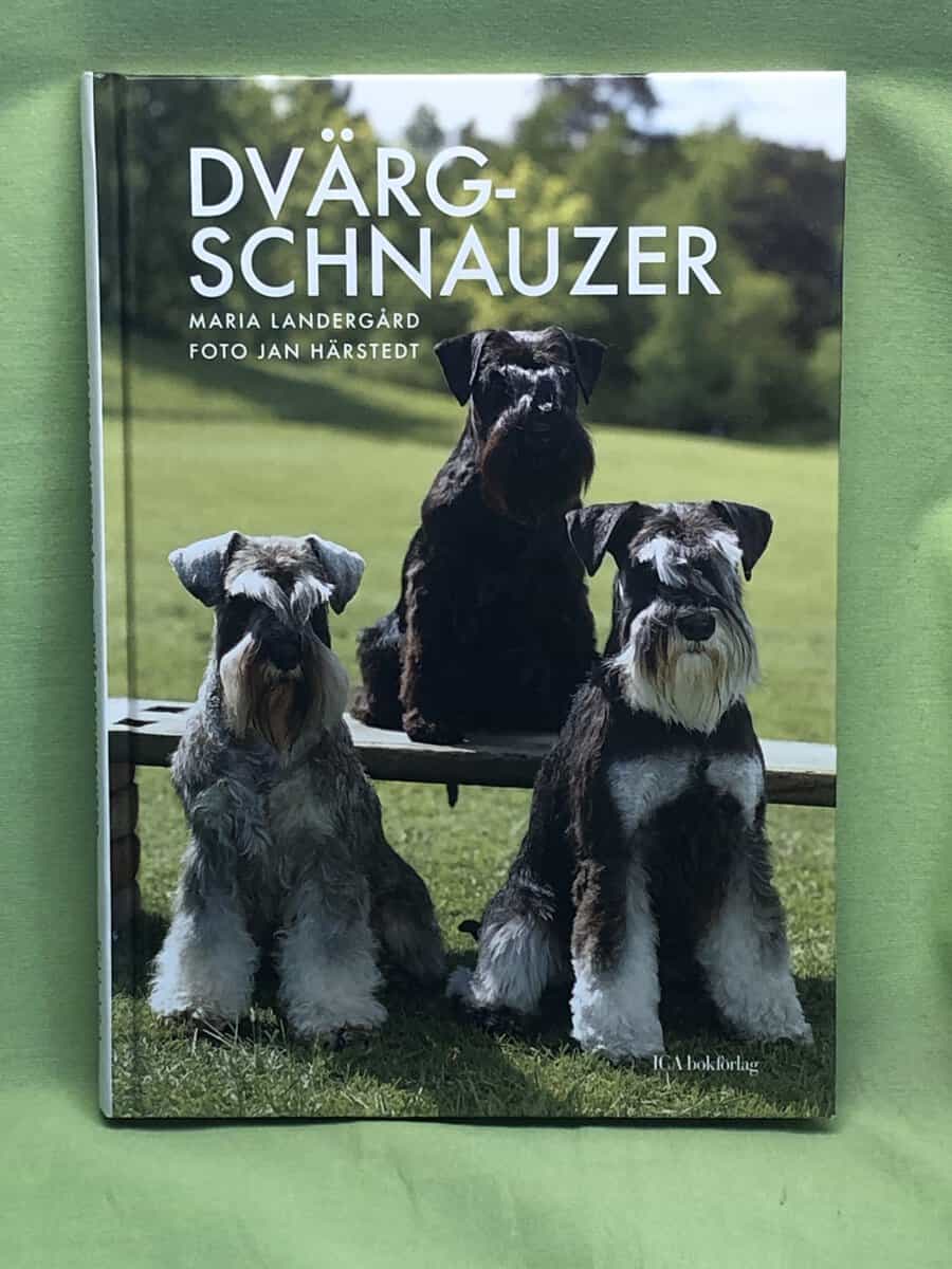 Maria Landergård : Dvärgschnauzer