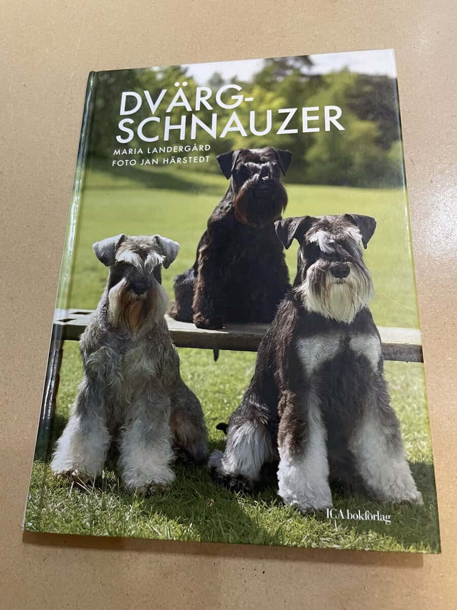Maria Landergård : Dvärgschnauzer