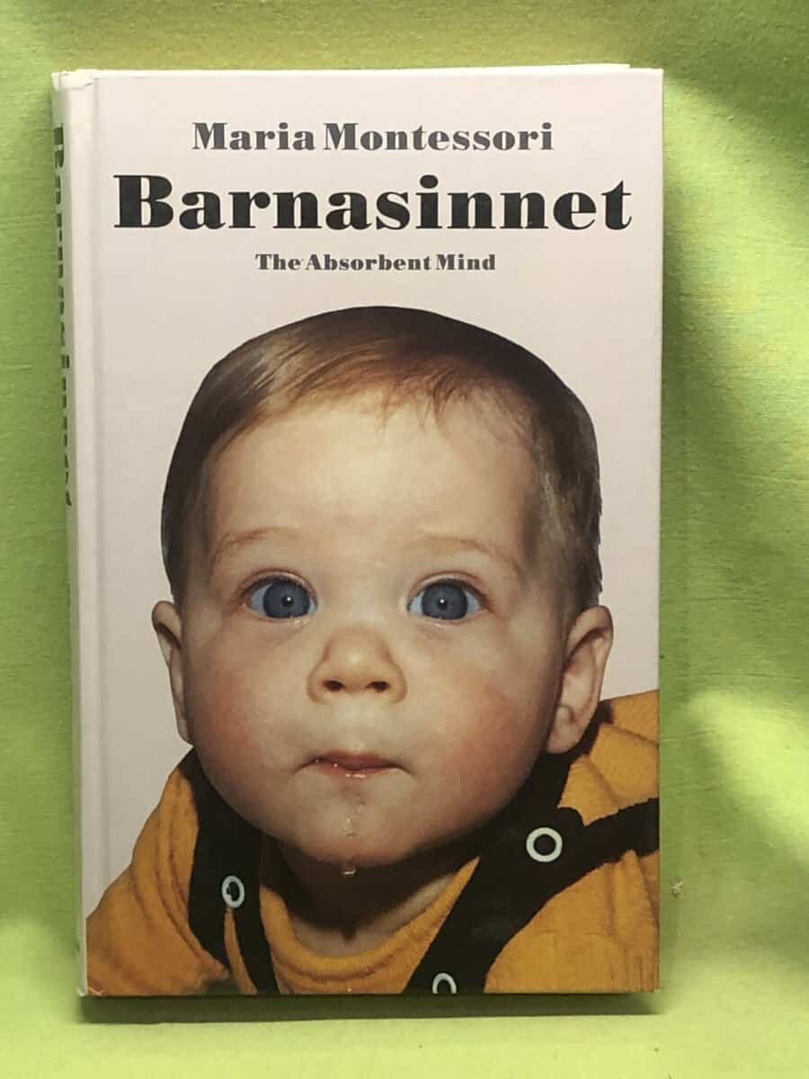 Maria Montessori : Barnasinnet