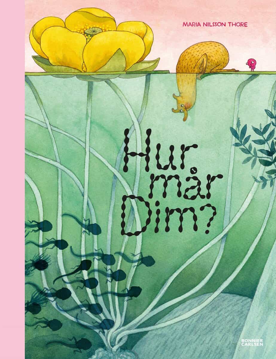Maria Nilsson Thore : Hur mår Dim?