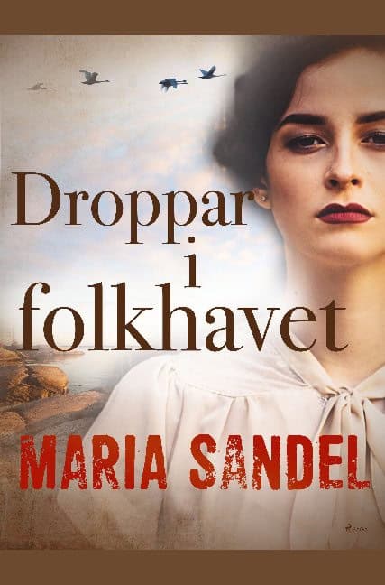 Maria Sandel : Droppar i folkhavet