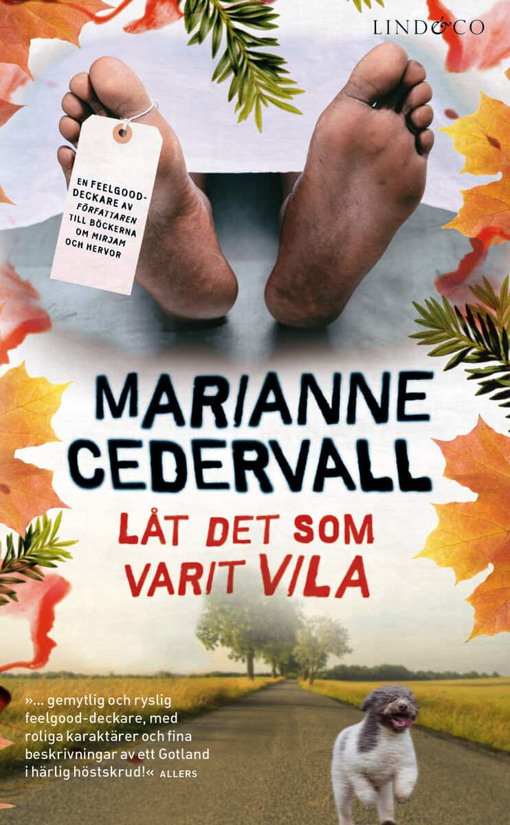 Marianne Cedervall : Låt det som varit vila