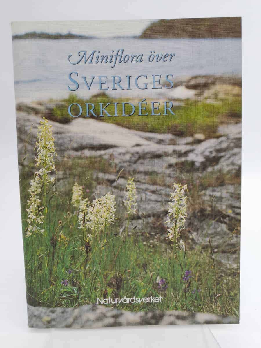 Marianne Gransberg : Miniflora över Sveriges orkidéer