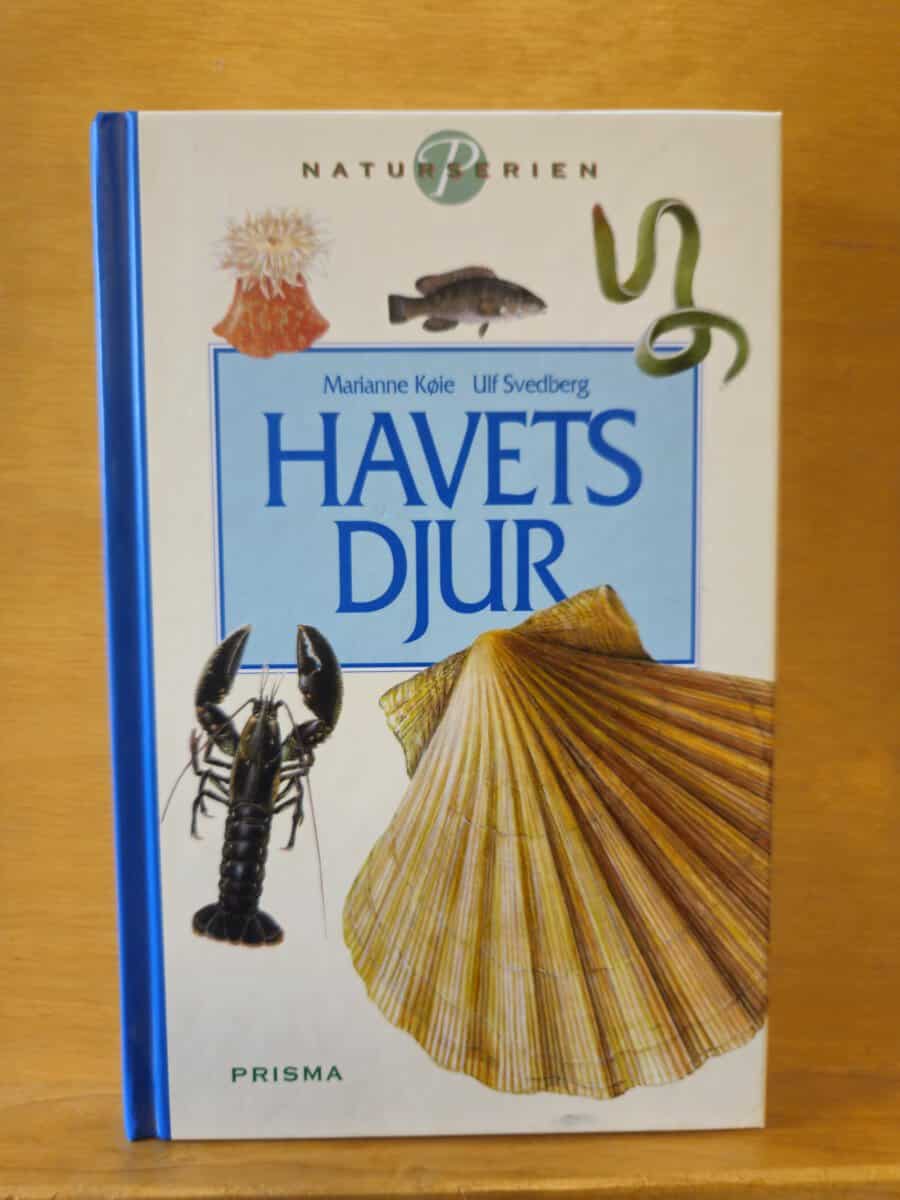 Marianne Køie : Havets djur