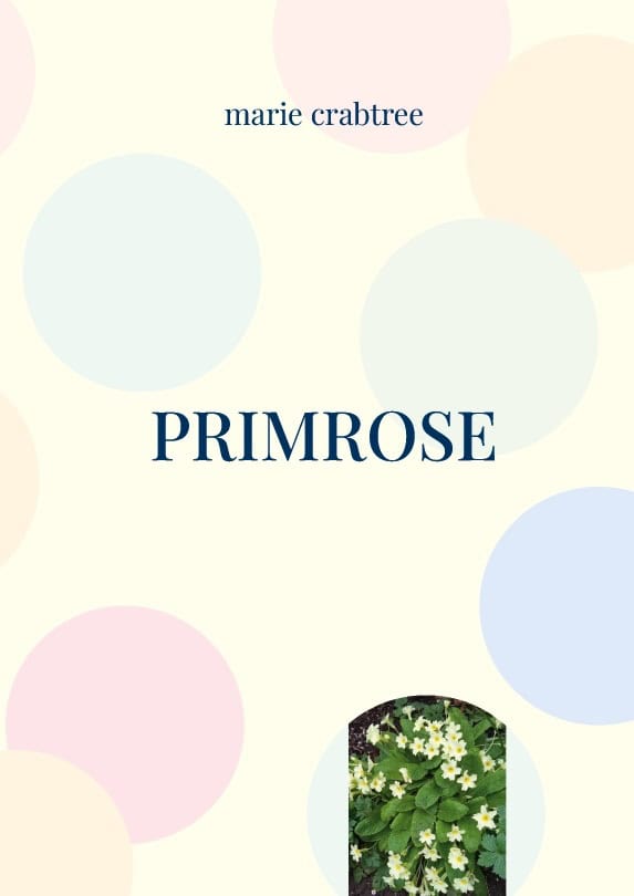 Marie Crabtree : Primrose