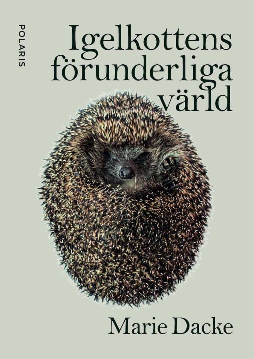 Marie Dacke : Igelkottens förunderliga värld