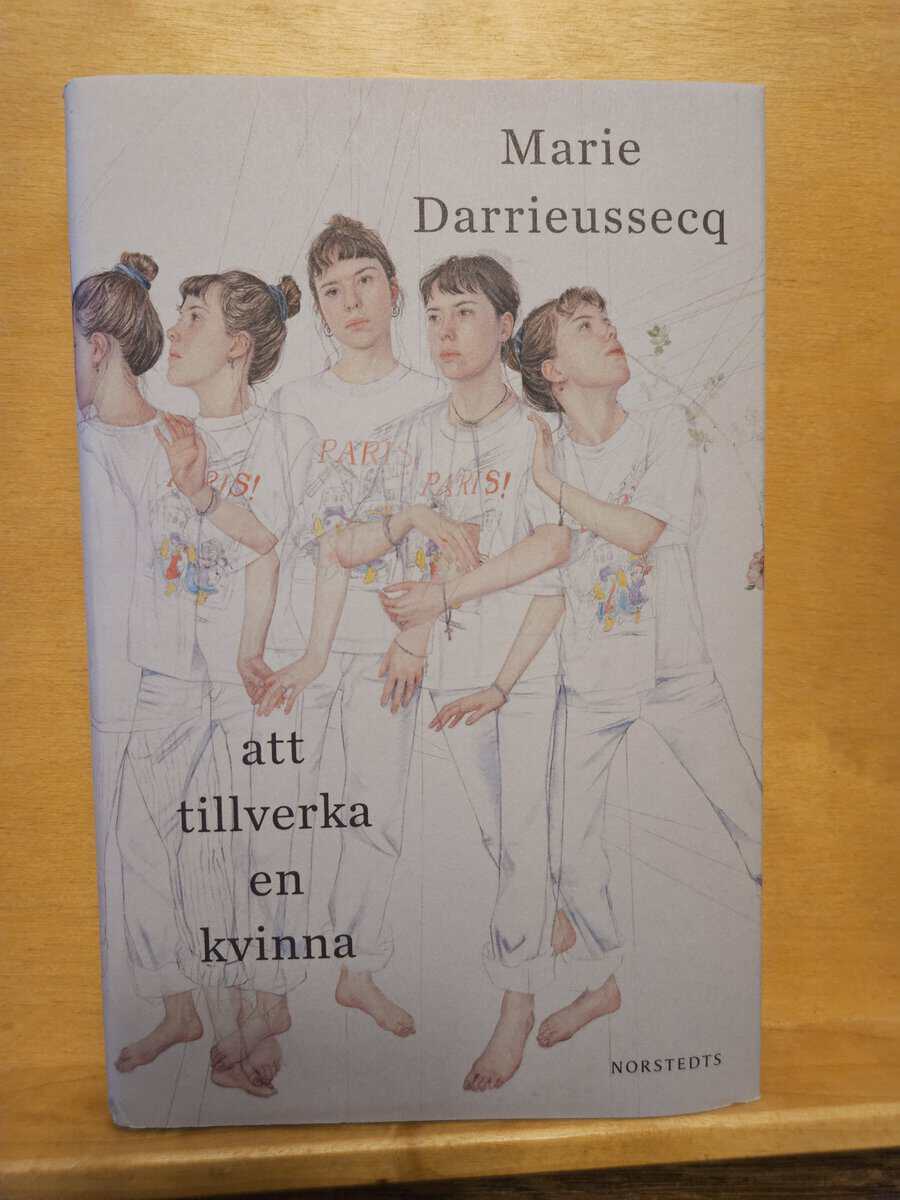 Marie Darrieussecq : Att tillverka en kvinna